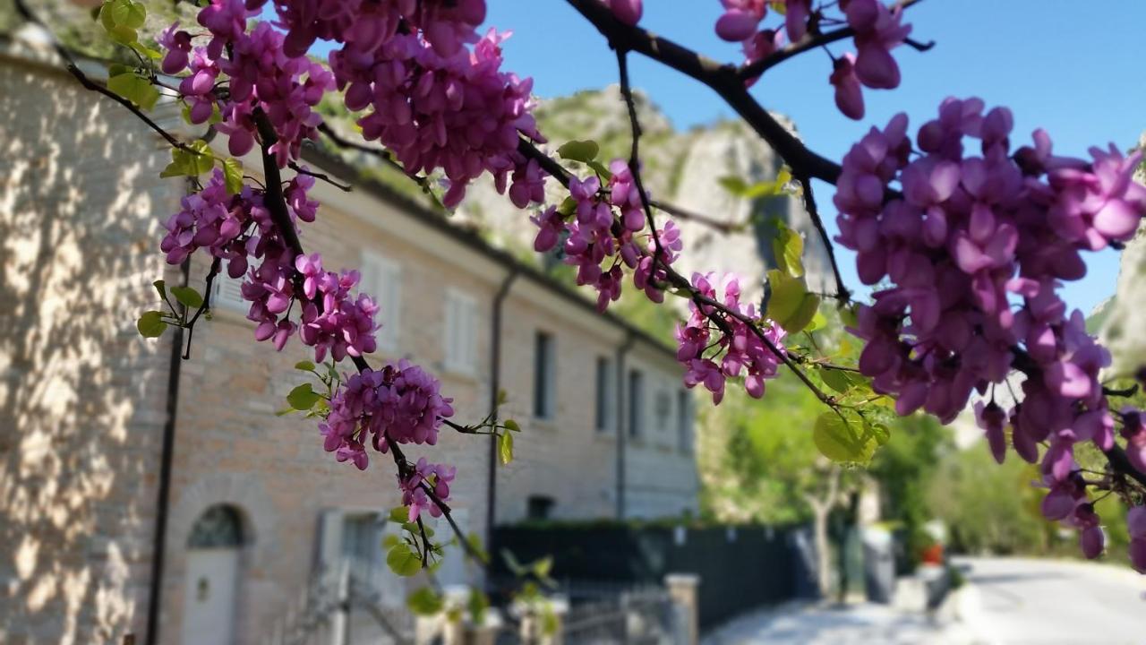 B&B Aquilegia Acqualagna Exterior photo