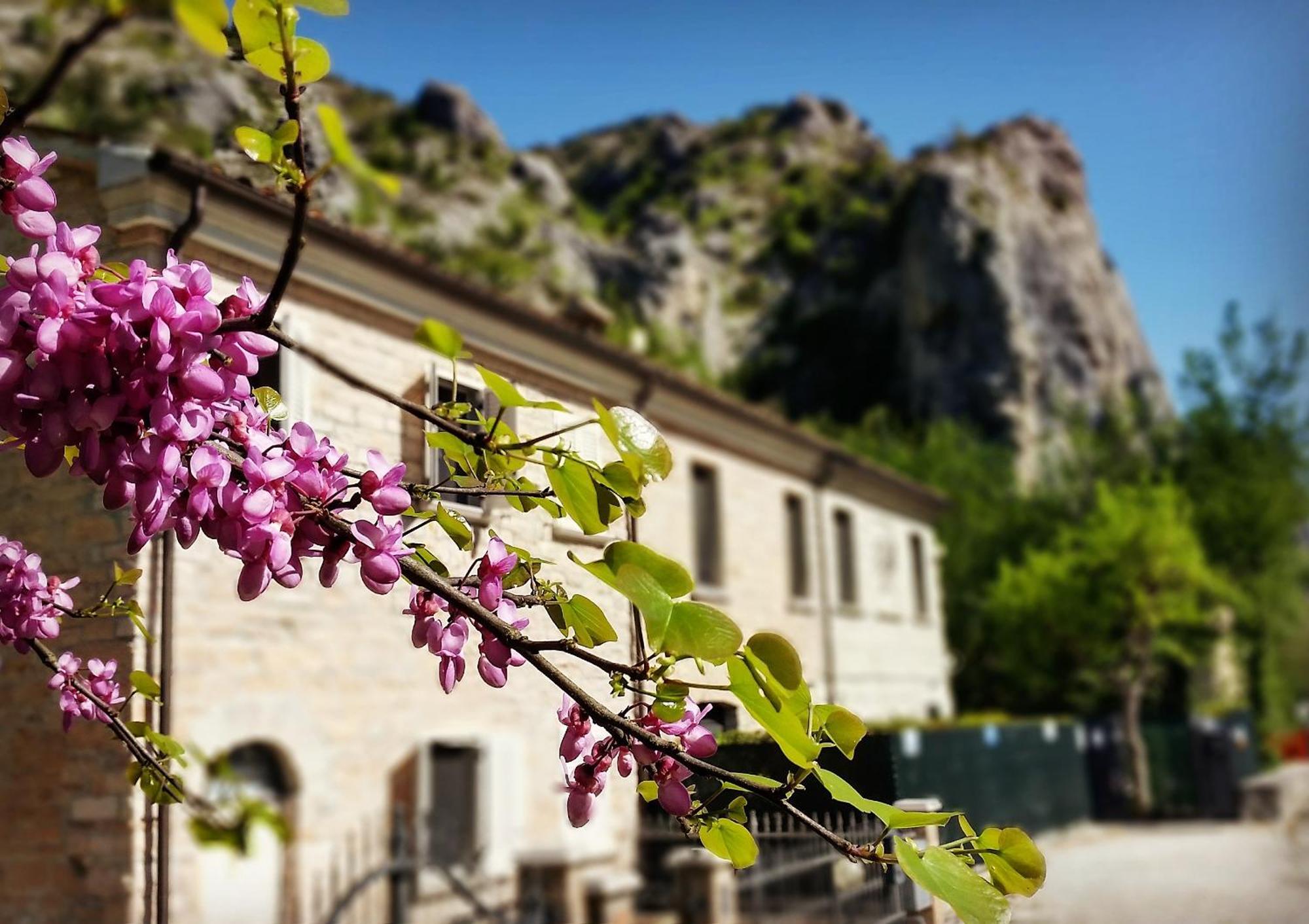 B&B Aquilegia Acqualagna Exterior photo